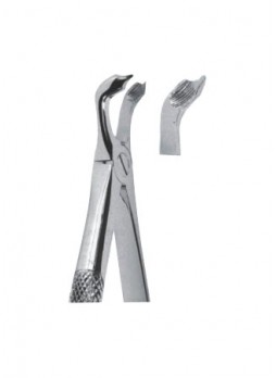 Extracting Forceps
